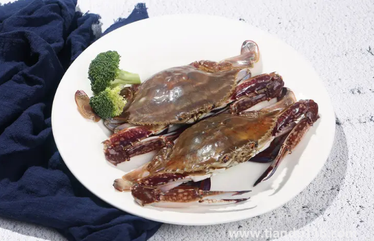 梭子蟹什么顏色是肥的（食用梭子蟹的注意事項(xiàng)）