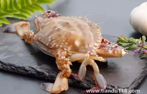梭子蟹什么顏色是肥的(食用梭子蟹的注意事項(xiàng))(圖3) 梭子蟹什么顏色是肥的3