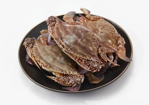 網(wǎng)購的梭子蟹上午到的到晚上吃可以嗎(梭子蟹怎么做好吃)(圖2) 網(wǎng)購的梭子蟹上午到的到晚上吃可以嗎2