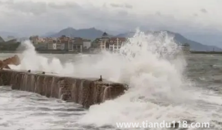 2022年臺(tái)風(fēng)梅花什么時(shí)候登錄山東(梅花臺(tái)風(fēng)什么時(shí)候到山東)(圖1) 2022年臺(tái)風(fēng)梅花什么時(shí)候登錄山東1