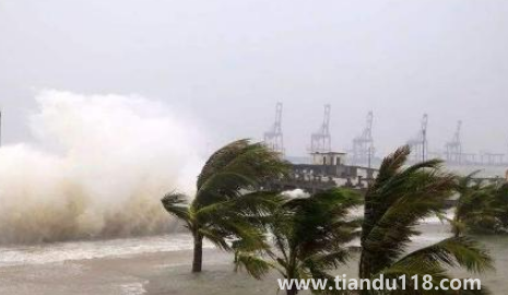 2022年臺(tái)風(fēng)梅花會(huì)影響浙江嗎3