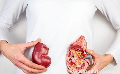 止痛藥吃多了會(huì)導(dǎo)致腎衰竭嗎(腎衰竭怎么引起來(lái)的)(圖1) 止痛藥吃多了會(huì)導(dǎo)致腎衰竭嗎1