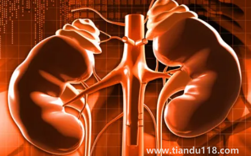 止痛藥吃多了會(huì)導(dǎo)致腎衰竭嗎(腎衰竭怎么引起來(lái)的)(圖3) 止痛藥吃多了會(huì)導(dǎo)致腎衰竭嗎3