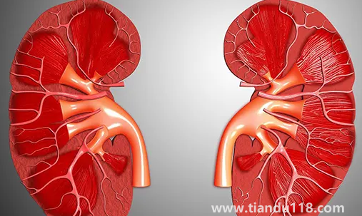 止痛藥吃多了會(huì)導(dǎo)致腎衰竭嗎(腎衰竭怎么引起來(lái)的)(圖2) 止痛藥吃多了會(huì)導(dǎo)致腎衰竭嗎2