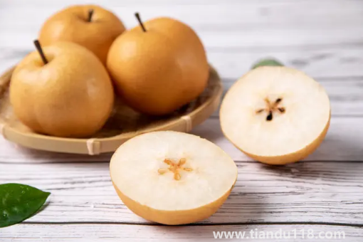 秋月梨和雪梨哪個(gè)止咳效果好(秋月梨怎么挑選)(圖3) 秋月梨和雪梨哪個(gè)止咳效果好3