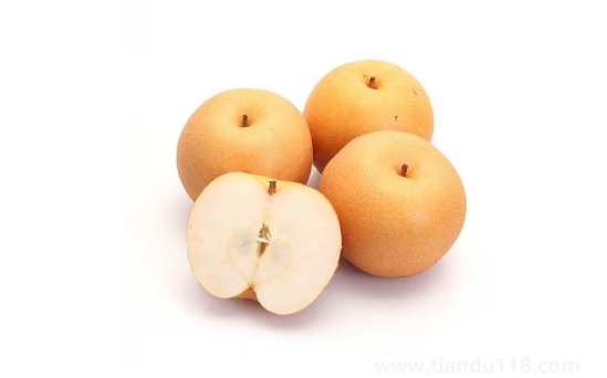 秋月梨可以放冰箱冷藏嗎（秋月梨產(chǎn)地是哪里）