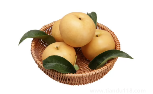 秋月梨變得綿軟還能吃嗎(秋月梨的挑選方法)(圖3) 秋月梨變得綿軟還能吃嗎3