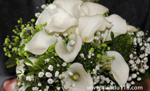 男方娶親當天手捧花必須要準備嗎(男方娶親當天要注意什么)(圖3) 男方娶親當天手捧花必須要準備嗎3