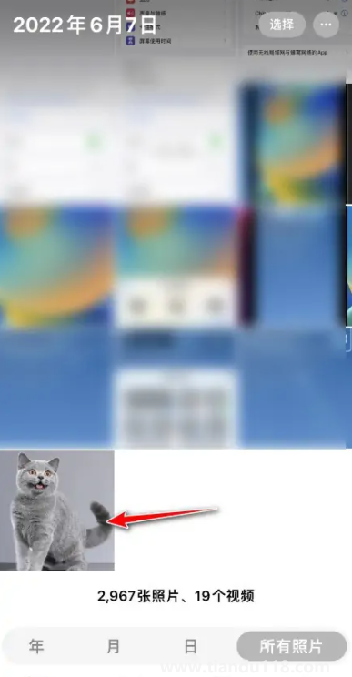 ios16摳圖可以放到哪里(iOS16摳圖怎么用)(圖4) ios16摳圖可以放到哪里4