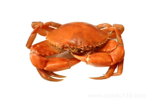 青蟹什么時候最肥最好吃(青蟹怎么做好吃又簡單)(圖2) 青蟹什么時候最肥最好吃2