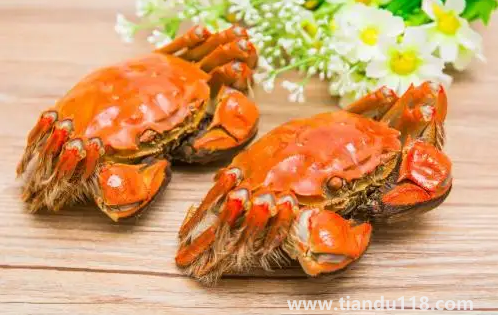 吃了螃蟹又吃了柿子怎么辦（柿子和螃蟹一起吃會怎么樣）