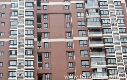 房間里放植物能增強活力陽氣嗎（判斷房子的陽氣和陰氣有什么方法）