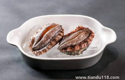 冷凍鮑魚(yú)先解凍還是先煮一下(鮑魚(yú)冷凍可以存放多久)(圖3) 冷凍鮑魚(yú)先解凍還是先煮一下3