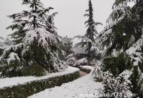 2023年哈爾濱1月份會(huì)下雪嗎2