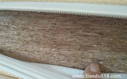 椰棕會(huì)不會(huì)生蟲(chóng)子3