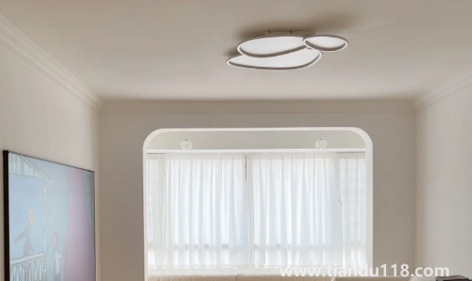 房子吊頂用什么材料好(房子吊頂裂縫怎么修補(bǔ))(圖2) 房子吊頂用什么材料好2