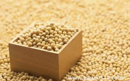 大豆被和蠶絲被哪個適合孩子2