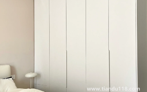 生態(tài)板做柜門會(huì)不會(huì)容易變形(衣柜門尺寸標(biāo)準(zhǔn)尺寸)(圖2) 生態(tài)板做柜門會(huì)不會(huì)容易變形2