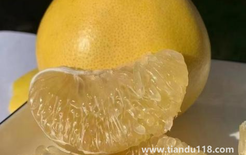 葡萄柚能放冰箱保存嗎(葡萄柚可以放多久)(圖2) 葡萄柚能放冰箱保存嗎2