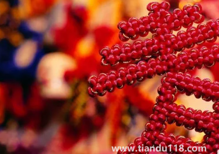 門對門掛中國結可以掛門上嗎(掛中國結要注意什么)(圖2) 門對門掛中國結可以掛門上嗎 2