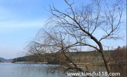 2023年閏二月年景好不好(閏二月什么說法)(圖2) 2023年閏二月年景好不好2