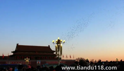 2023元旦能不能去北京看升旗(元旦去北京觀看升旗需要注意什么)(圖3) 2023元旦能不能去北京看升旗3