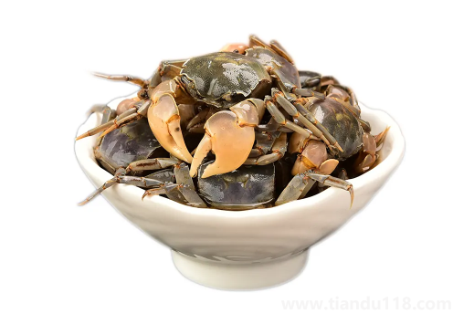 自制醉蟹有寄生蟲嗎(醉蟹和什么不能一起吃)(圖3) 自制醉蟹有寄生蟲嗎3