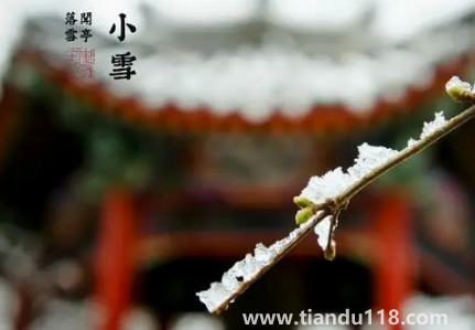 2022年小雪節(jié)氣艾灸有什么好處(二十四節(jié)氣小雪風(fēng)俗)(圖2) 2022年小雪節(jié)氣艾灸有什么好處2