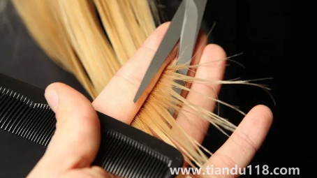 2月份是不是不能理發(fā)(剪頭發(fā)要不要看日子)(圖1) 2月份是不是不能理發(fā)1