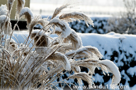 2023大寒當(dāng)天冷點好還是熱點好（大寒時節(jié)天氣暖和為啥不好）