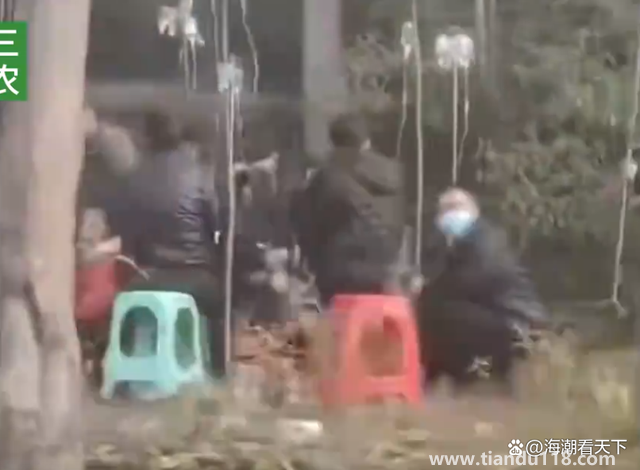 村民在煙霧繚繞的樹林里打吊瓶 網(wǎng)友稱不忍直視