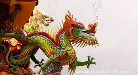 2023兔好還是2024龍好（2024年龍的運(yùn)勢(shì)好不好）