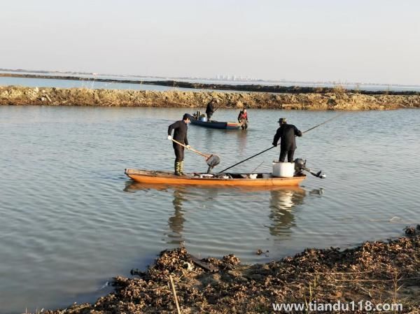 女子放生2.5萬斤鲇魚被起訴（女子繳9萬處置費）
