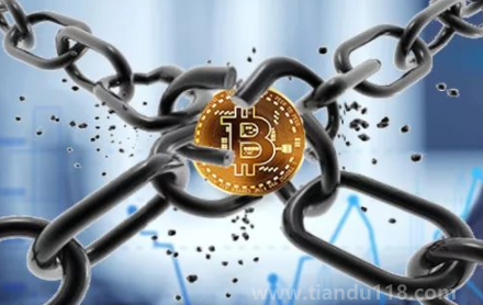 幣圈2023是牛還是熊（2023年幣圈有牛嗎）