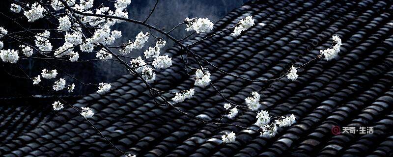 寒食古詩(shī)意思解釋和主題思想 《寒食》古詩(shī)的中心思想(圖1) 寒食古詩(shī)意思解釋和主題思想