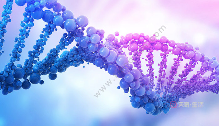 組成多聚核苷酸的骨架成分是 組成多聚核苷酸的骨架成分是什么(圖2) 組成多聚核苷酸的骨架成分是